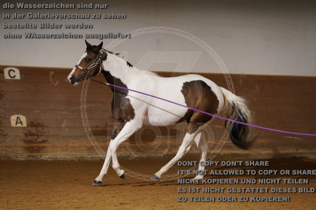 s_K3F01758.JPG